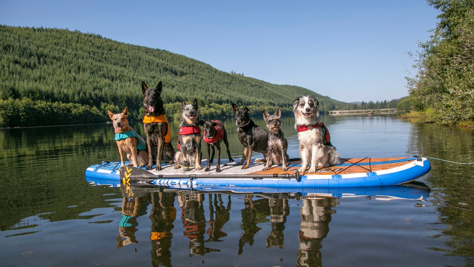 Best Multi-Purpose Paddle Boards